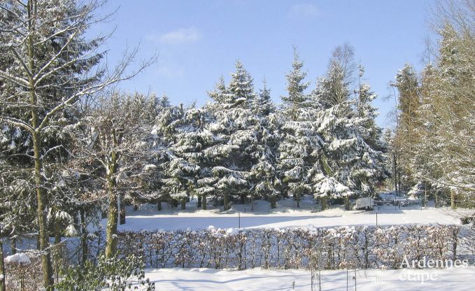 Wohnung Ovifat 4 Pers. Ardennen