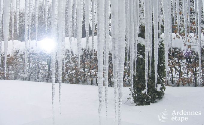 Wohnung Ovifat 4 Pers. Ardennen
