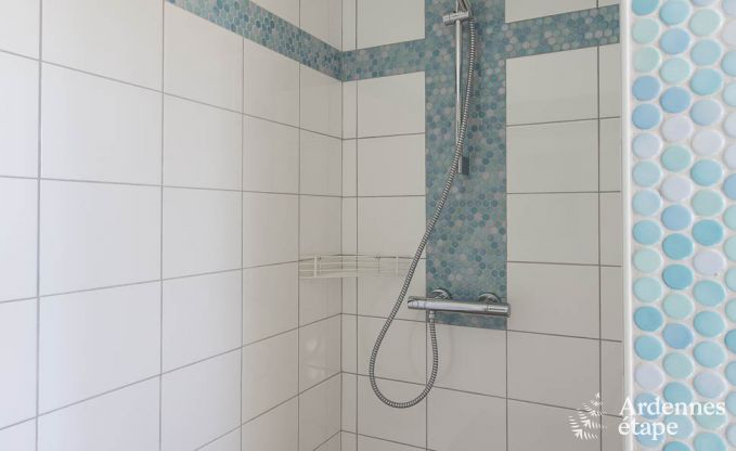 Ferienhaus Ovifat 9 Pers. Ardennen