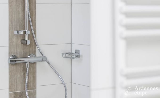 Ferienhaus Ovifat 8 Pers. Ardennen Wellness