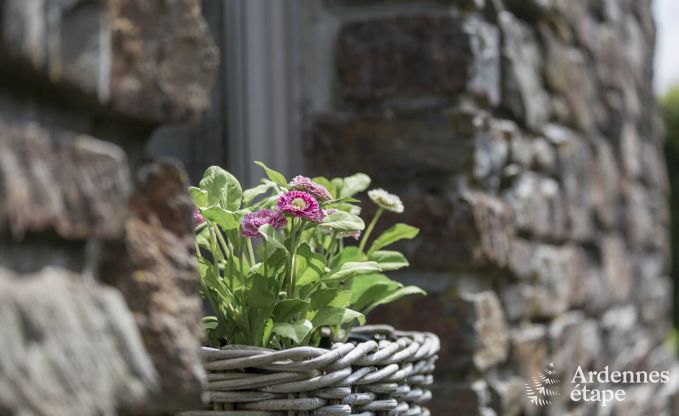 Ferienhaus Ovifat 6/7 Pers. Ardennen Wellness