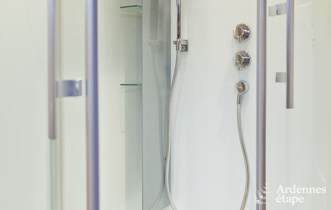 Ferienhaus Paliseul 4/5 Pers. Ardennen Wellness