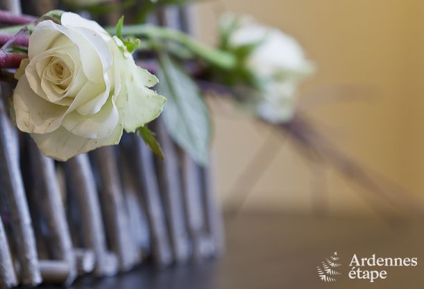 Ferienhaus Paliseul 4/5 Pers. Ardennen Wellness