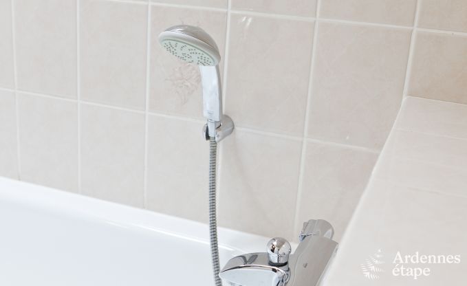 Ferienhaus Paliseul 4/5 Pers. Ardennen Wellness