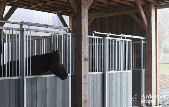 Ferienhaus Paliseul 4/5 Pers. Ardennen Wellness
