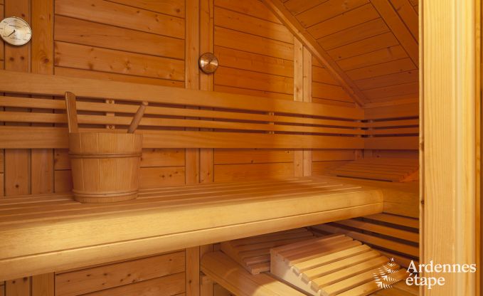 Ferienhaus Paliseul 4/5 Pers. Ardennen Wellness