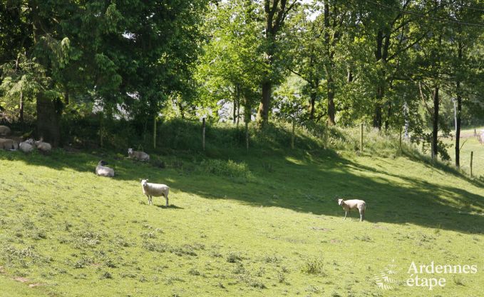 Ferienhaus Paliseul 4/5 Pers. Ardennen Wellness
