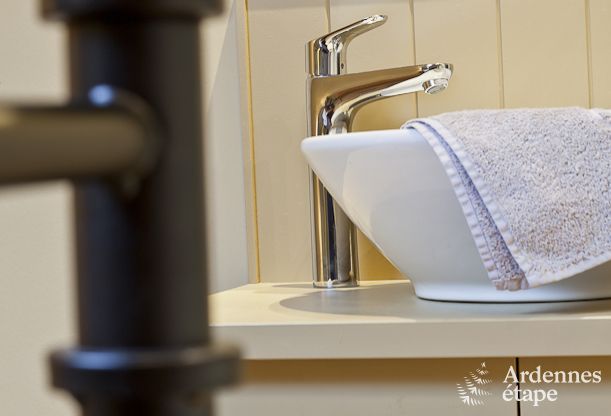 Ferienhaus Paliseul 4/5 Pers. Ardennen Wellness