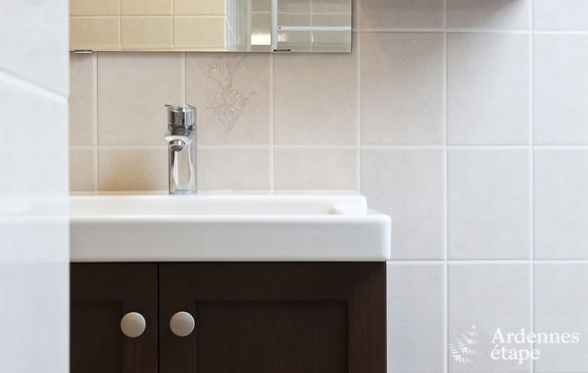 Ferienhaus Paliseul 4/5 Pers. Ardennen Wellness