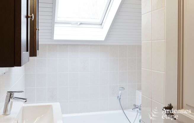 Ferienhaus Paliseul 4/5 Pers. Ardennen Wellness