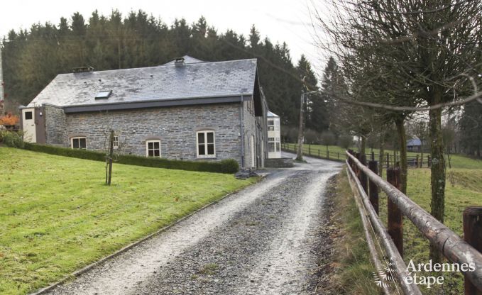 Ferienhaus Paliseul 6 Pers. Ardennen Wellness