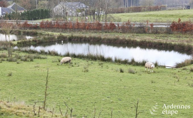 Ferienhaus Paliseul 6 Pers. Ardennen Wellness