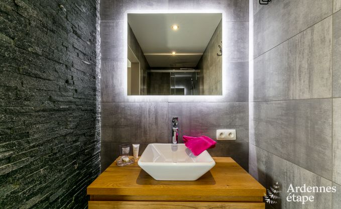 Hochwertig Ferienhaus Paliseul 14 Pers. Ardennen Wellness