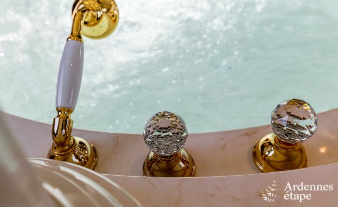 Hochwertig Ferienhaus Paliseul 14 Pers. Ardennen Wellness