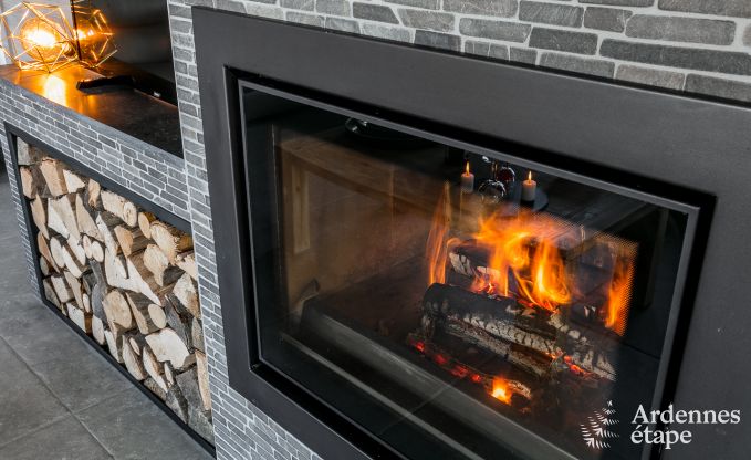 Hochwertig Ferienhaus Paliseul 14 Pers. Ardennen Wellness