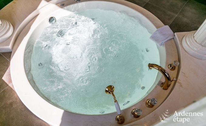 Hochwertig Ferienhaus Paliseul 14 Pers. Ardennen Wellness