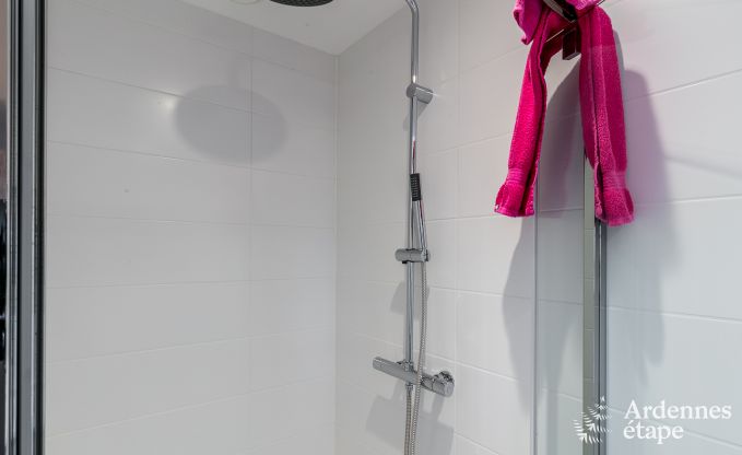 Hochwertig Ferienhaus Paliseul 14 Pers. Ardennen Wellness