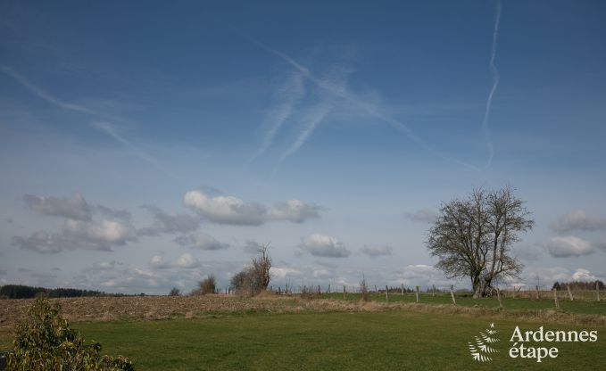 Hochwertig Ferienhaus Paliseul 14 Pers. Ardennen Wellness