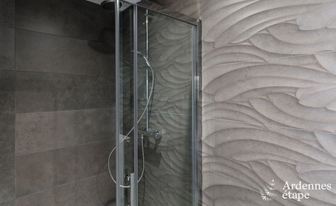 Hochwertig Ferienhaus Paliseul 14 Pers. Ardennen Wellness