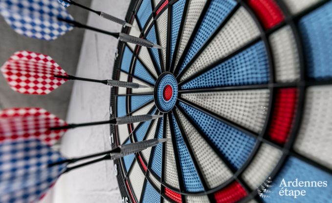 Hochwertig Ferienhaus Paliseul 14 Pers. Ardennen Wellness