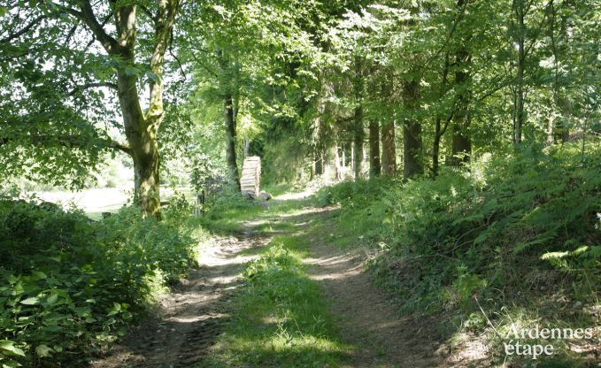 Ferienhaus Paliseul 4/5 Pers. Ardennen
