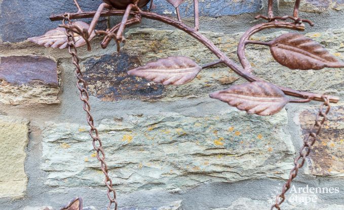 Ferienhaus Paliseul 4 Pers. Ardennen