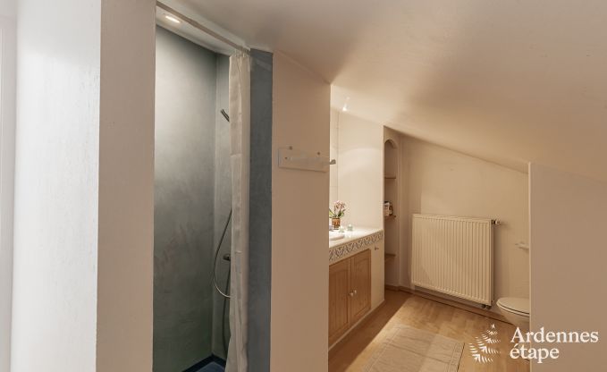 Ferienhaus Paliseul 2/4 Pers. Ardennen