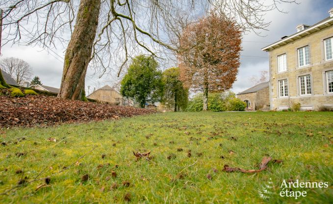 Ferienhaus Paliseul 2/4 Pers. Ardennen