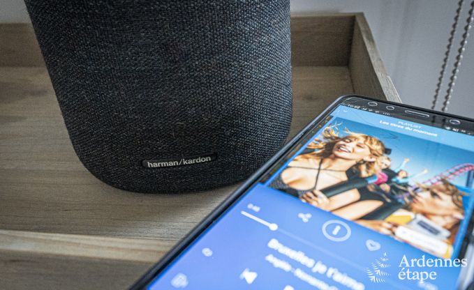 Ferienhaus Paliseul 10 Pers. Ardennen Behinderten gerecht