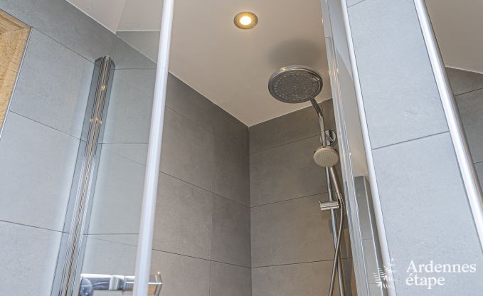 Ferienhaus Paliseul 10 Pers. Ardennen Behinderten gerecht