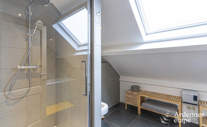 Ferienhaus Paliseul 10 Pers. Ardennen Behinderten gerecht