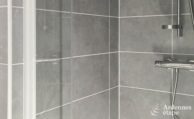 Ferienhaus Paliseul 6 Pers. Ardennen