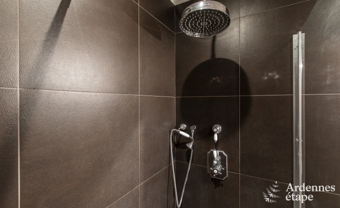 Ferienhaus Paliseul 16/22 Pers. Ardennen Schwimmbad Wellness