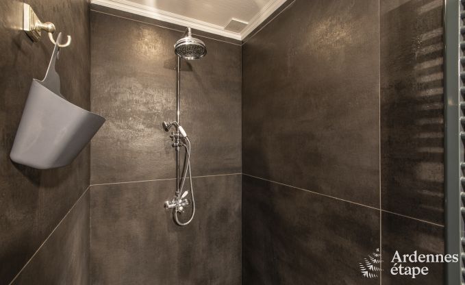 Ferienhaus Paliseul 16/22 Pers. Ardennen Schwimmbad Wellness