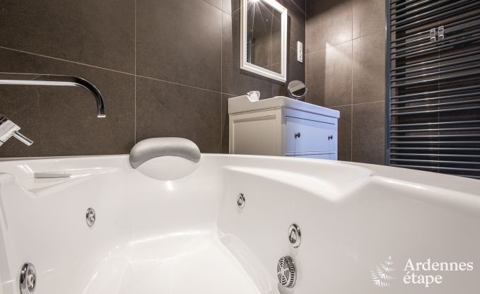 Ferienhaus Paliseul 16/22 Pers. Ardennen Schwimmbad Wellness