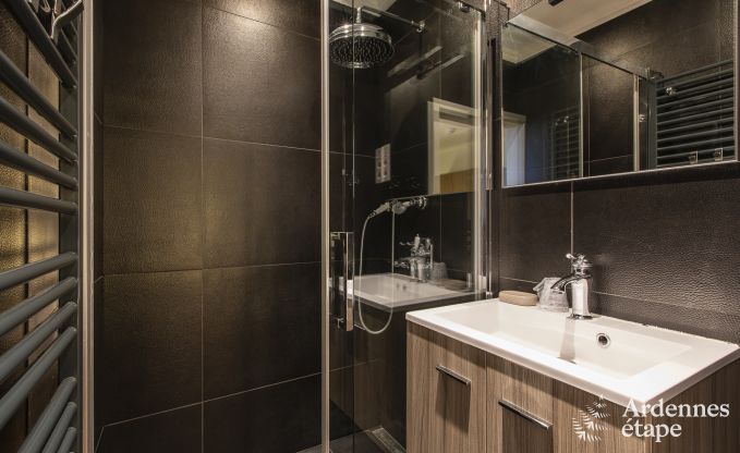 Ferienhaus Paliseul 16/22 Pers. Ardennen Schwimmbad Wellness