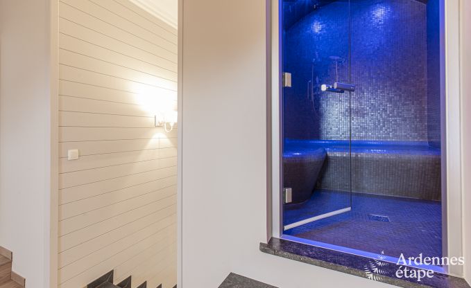 Ferienhaus Paliseul 16/22 Pers. Ardennen Schwimmbad Wellness