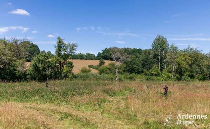 Ferienhaus Paliseul 4 Pers. Ardennen Wellness