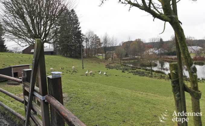 Ferienhaus Paliseul 6 Pers. Ardennen Wellness
