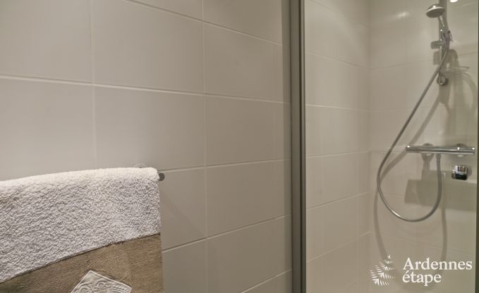 Ferienhaus Paliseul 8 Pers. Ardennen Wellness