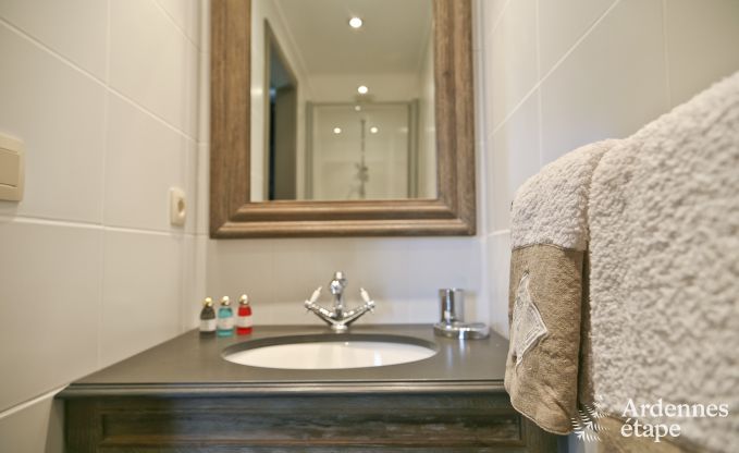 Ferienhaus Paliseul 8 Pers. Ardennen Wellness