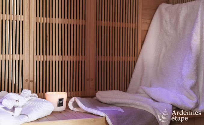 Ferienhaus Paliseul 8 Pers. Ardennen Wellness