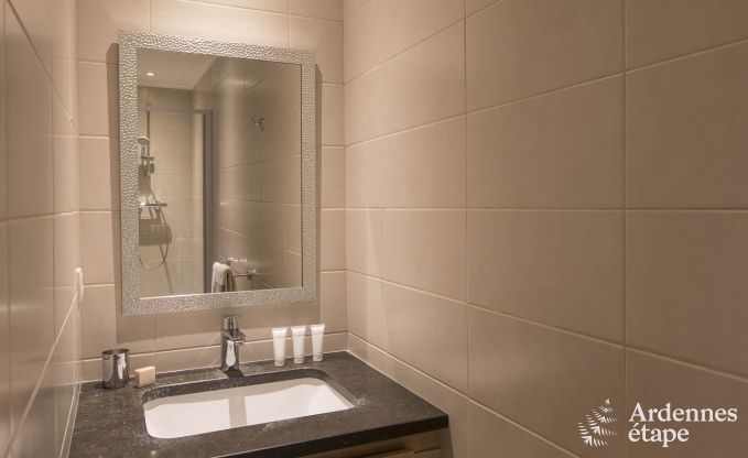 Ferienhaus Paliseul 8/9 Pers. Ardennen Wellness