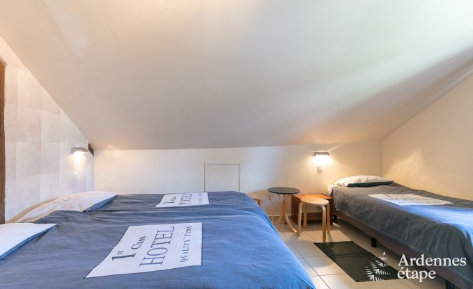 Ferienhaus Paliseul 20 Pers. Ardennen Wellness