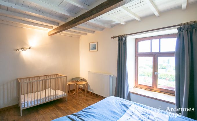 Ferienhaus Paliseul 26/28 Pers. Ardennen Wellness