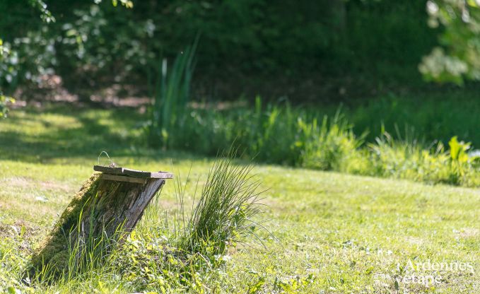 Ferienhaus Paliseul 26/28 Pers. Ardennen Wellness