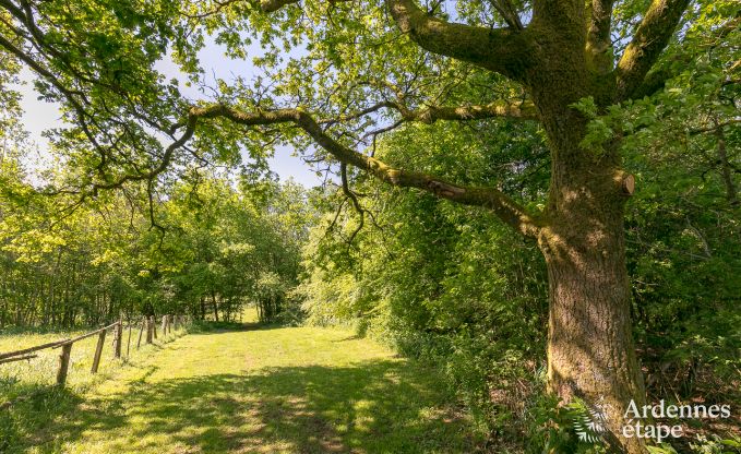 Ferienhaus Paliseul 26/28 Pers. Ardennen Wellness