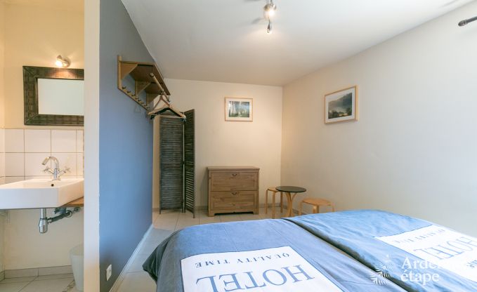 Ferienhaus Paliseul 26/28 Pers. Ardennen Wellness