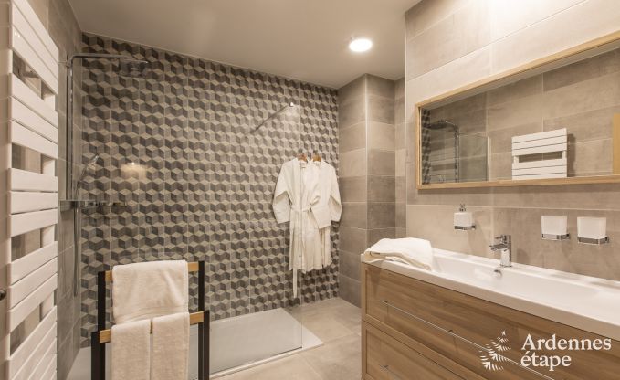 Ferienhaus Paliseul 12 Pers. Ardennen Wellness