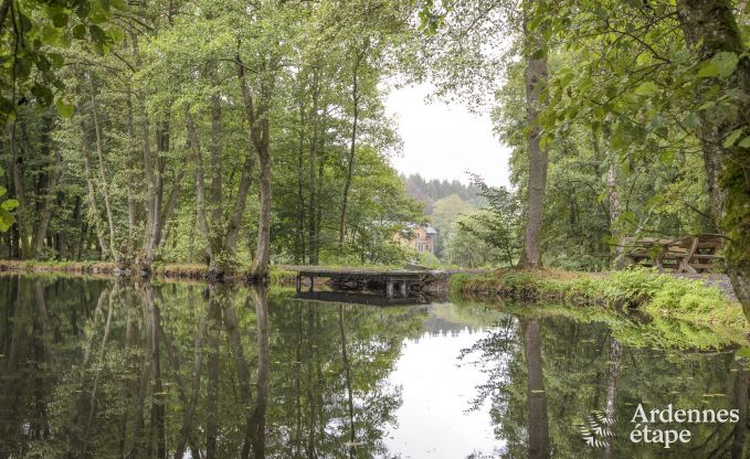 Ferienhaus Paliseul 12 Pers. Ardennen Wellness